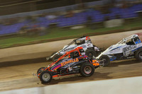 King On The Ring For The Wingless