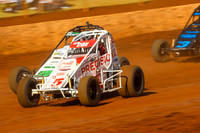 Wingless