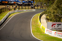 Race 3 David