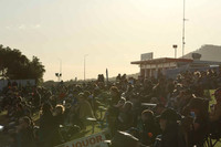 Crowds