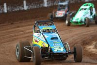 Wingless Queensland