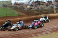 Wingless Queensland