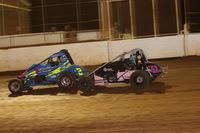 Wingless